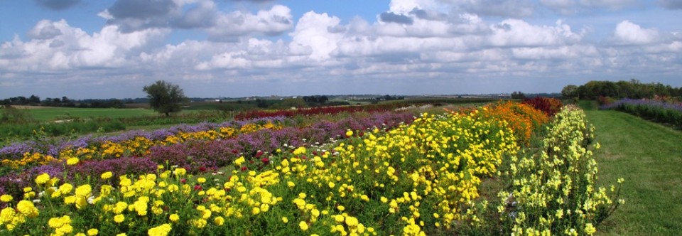 15 Iowa Organization Receive Grant Funds to Help Promote Specialty Crops