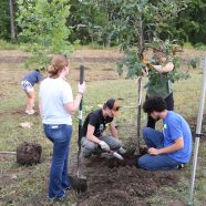 2026 INLA Day of Service In Sept.
