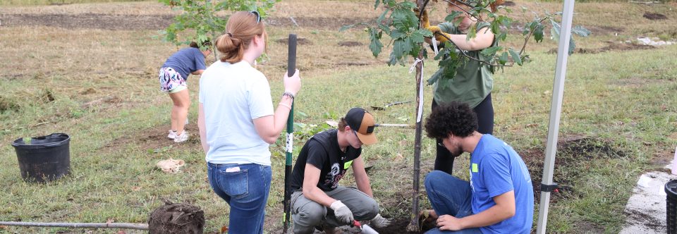 2026 INLA Day of Service In Sept.